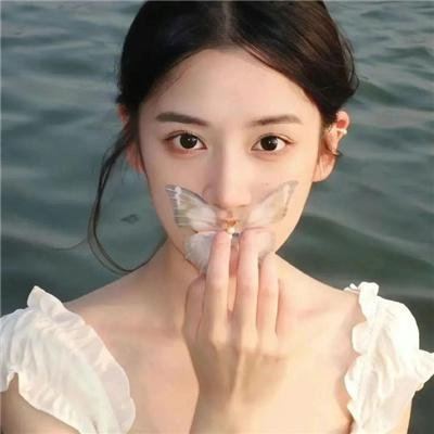 鳄鱼群